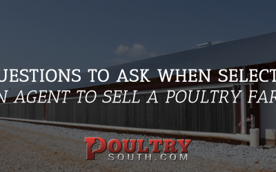 7 Questions to Consider When Selecting an Agent to Sell a Poultry Farm