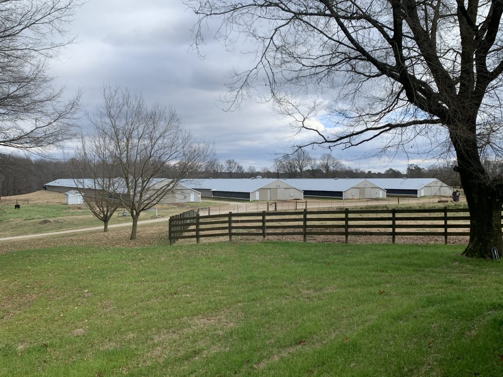 Sold Farms - PoultrySouth