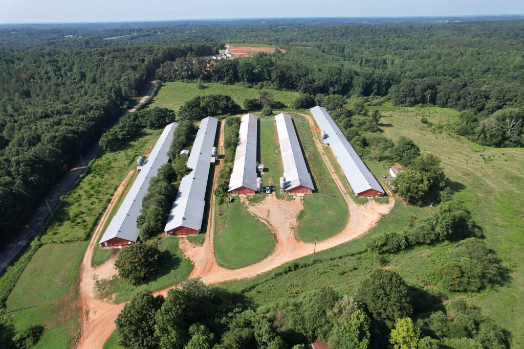 Sold Farms - PoultrySouth